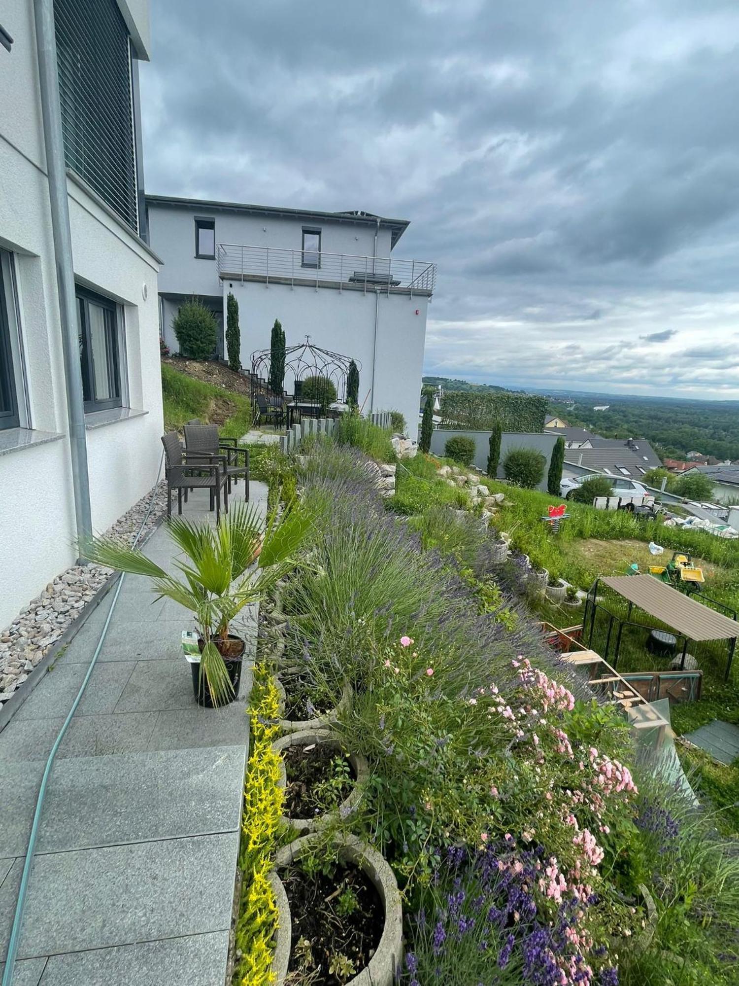 Apartamento Vogesenblick Bad Bellingen Exterior foto