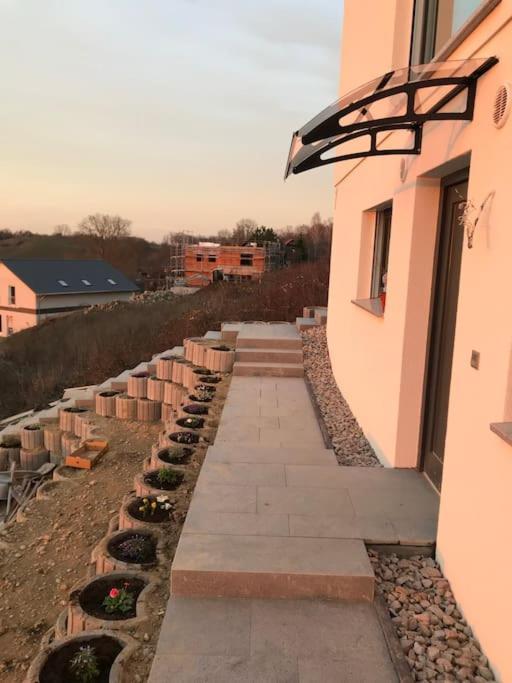 Apartamento Vogesenblick Bad Bellingen Exterior foto